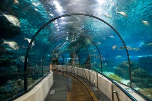 Barcelona Aquarium