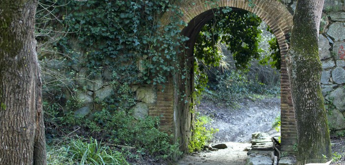 Collserola