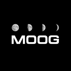 Moog Raval