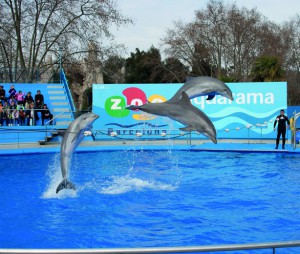 Zoo in Barcelona