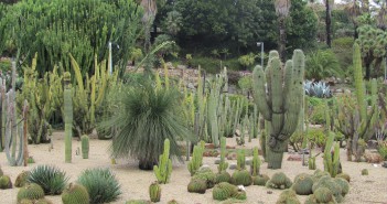 barcelona-cactus-park