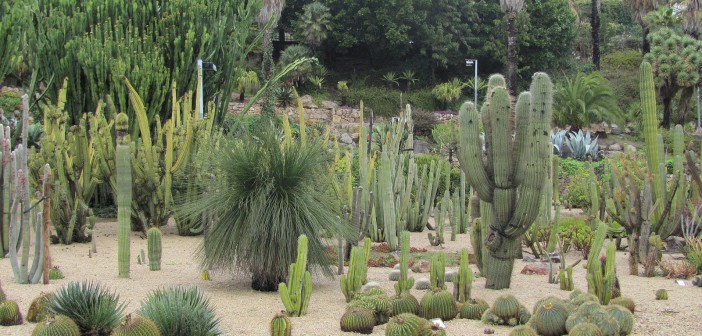 barcelona-cactus-park