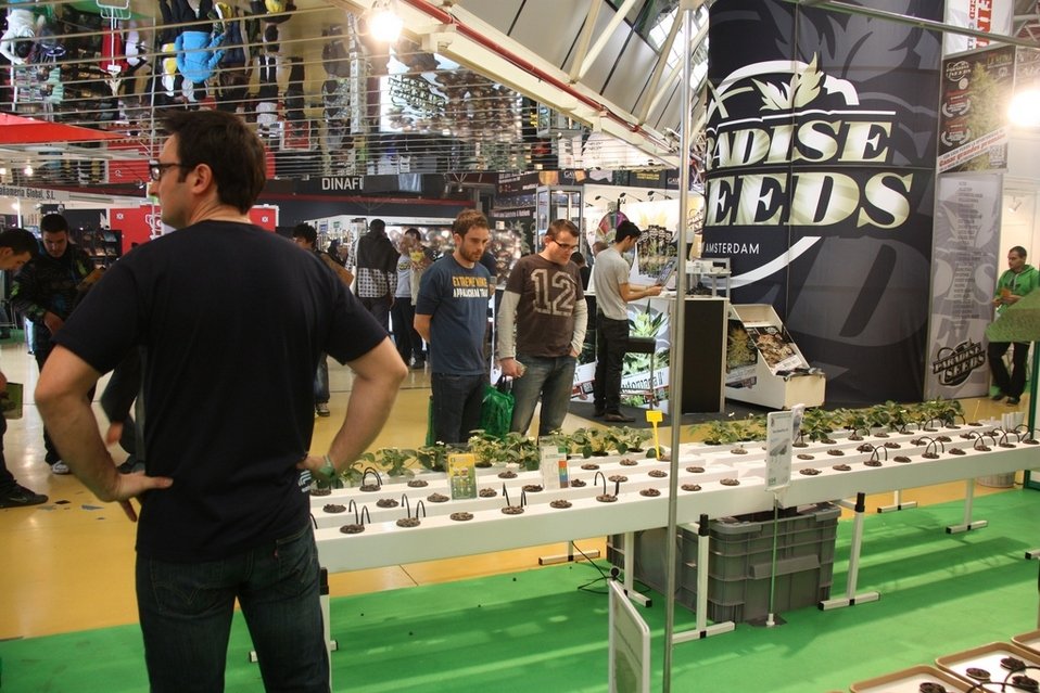 Spannabis 2015