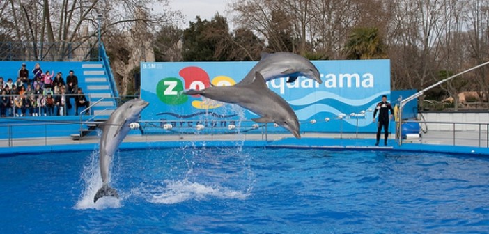 Barcelona Zoo