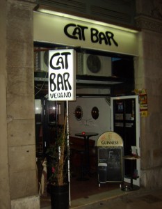 cat bar