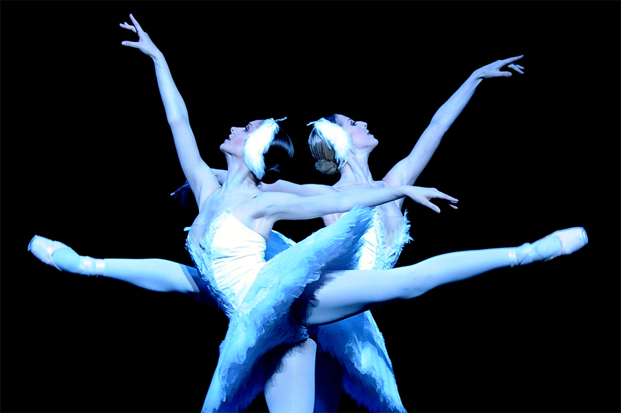 Swan Lake Teatre Liceu