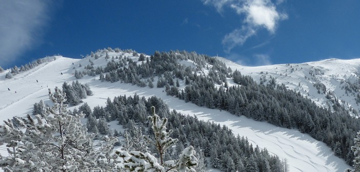 Masella Ski