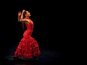 flamenco