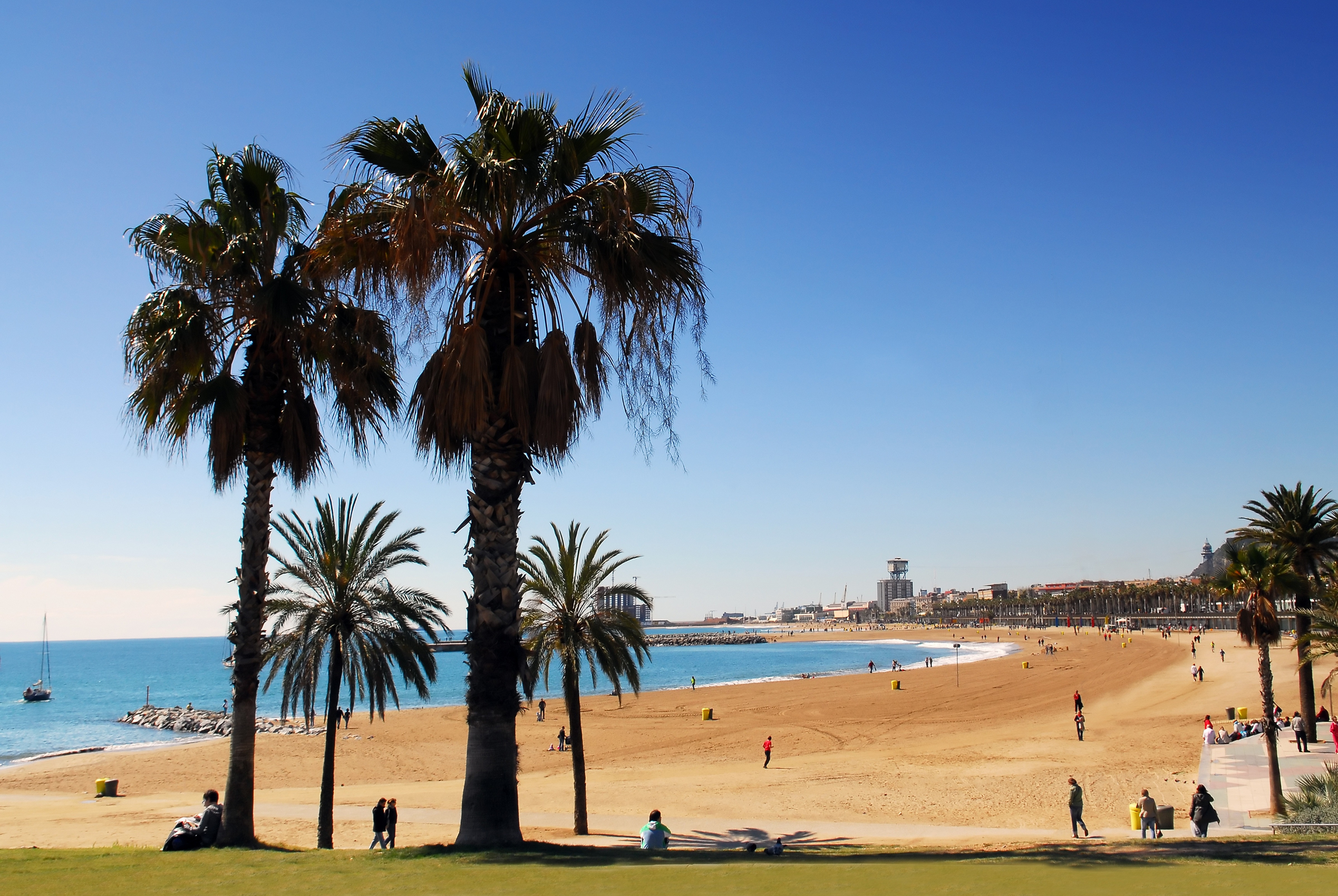 Searching for an enjoyable way to get fit whilst discovering what Barcelona has to offer? 