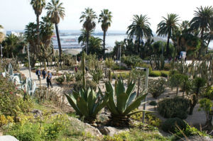 montjuic cactus garden