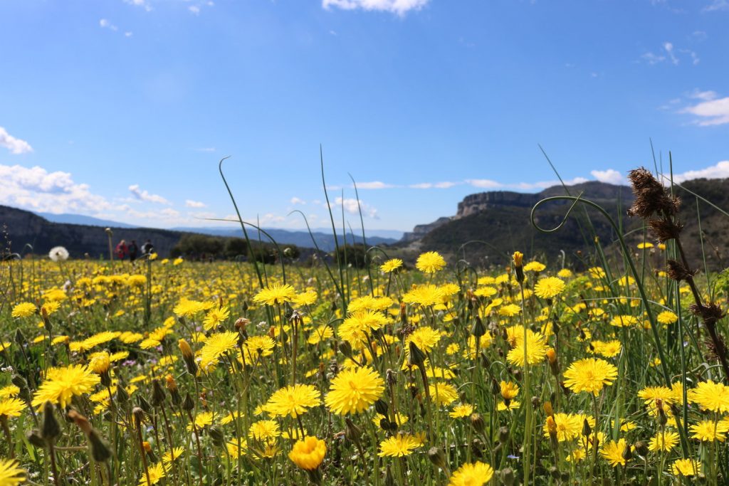 Natural Park of Collsacabra