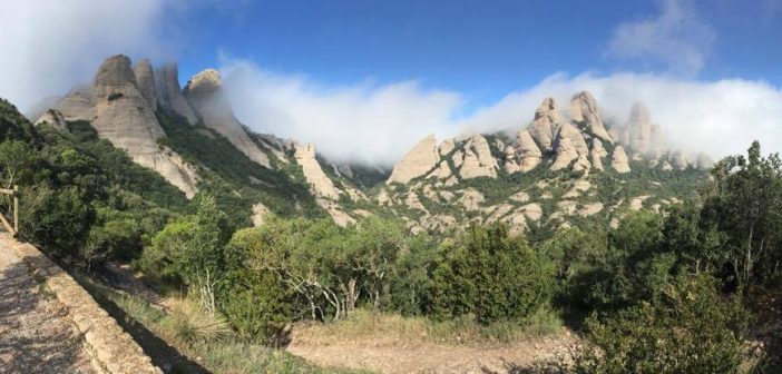 panoramic from witches' plain