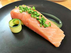 Salmon