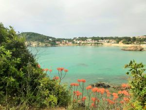 Bay with flowers