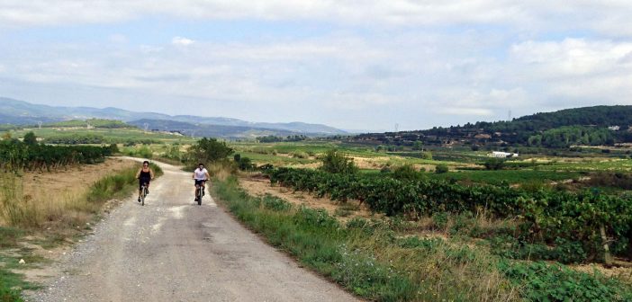 Landscape cycling