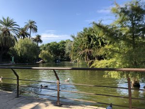 Lake at Parc de la Ciutadella