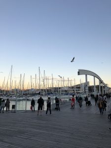 Rambla Del Mar and Port Vell