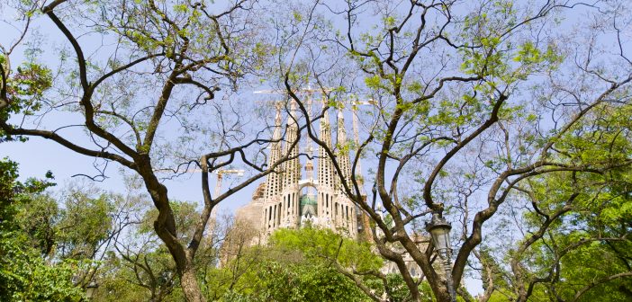 Spring in Barcelona