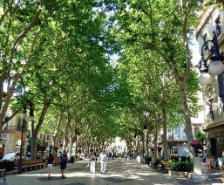 Passeig del Born